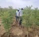 Environnement | Une mission de suivi du projet RésiSila (SRF) effectuée à Koukou Angarana